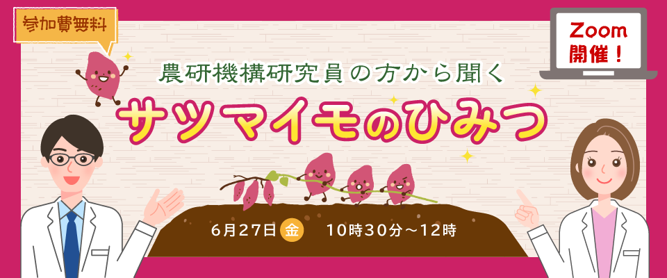 Zoomで開催！～農研機構研究員の方から聞く～サツマイモのひみつ