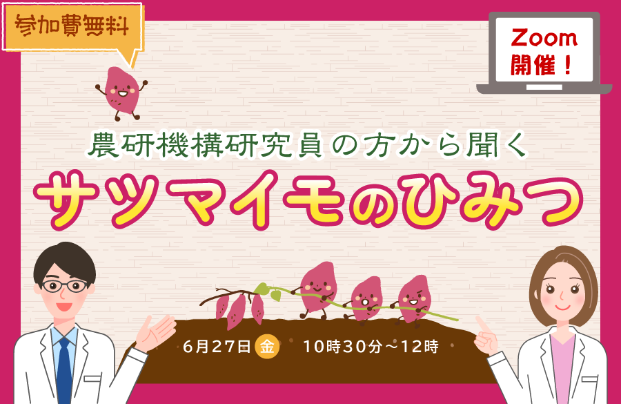 Zoomで開催！～農研機構研究員の方から聞く～サツマイモのひみつ