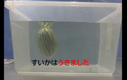 野菜の浮いた画像.pngのサムネイル画像