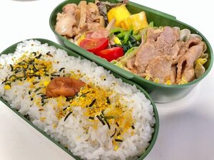お弁当の写真.jpg