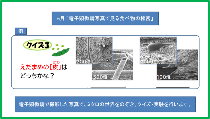 6月一般見学_電子顕微鏡.png