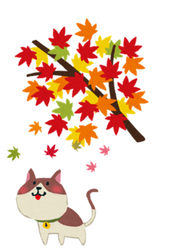 図1紅葉猫.png