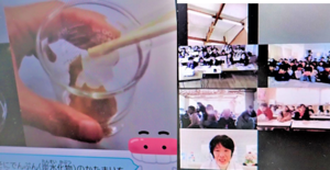 スクリーンショット (290).png