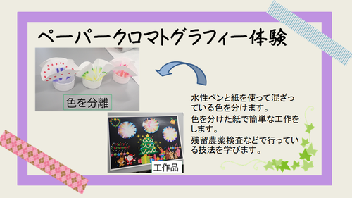 1,ペーパークロマトグラフィー体験.png