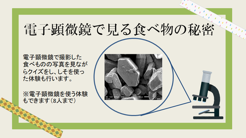 2,電子顕微鏡で見る食べ物の秘密.png
