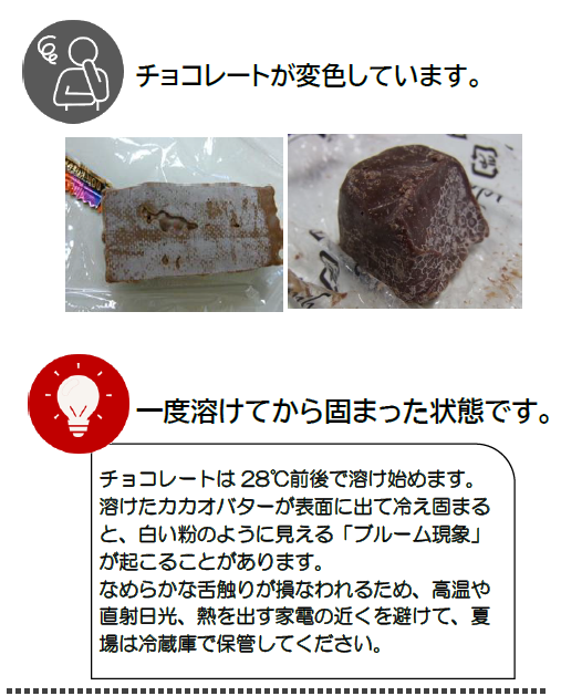 スクリーンショット (538).png