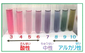 スクリーンショット (103).png