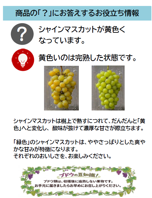 スクリーンショット (1062).png