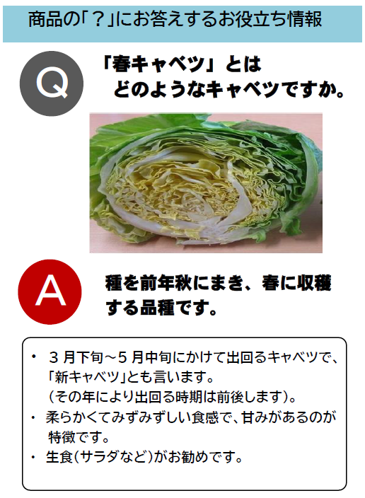 スクリーンショット (428).png