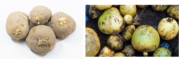 スクリーンショット (534).png