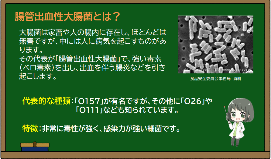 スクリーンショット (286).png